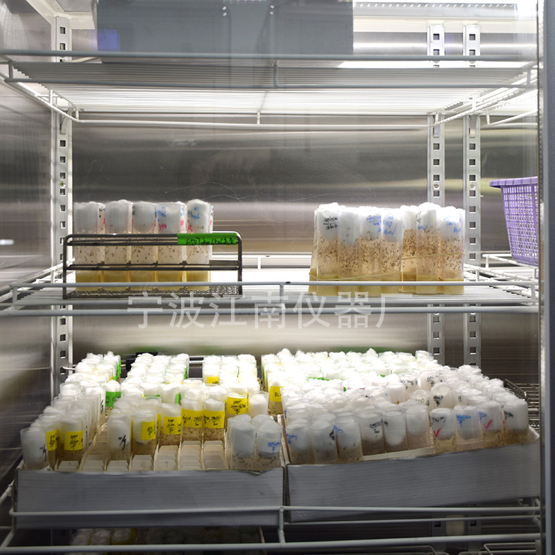 寧波江南儀器廠_人工氣候培養(yǎng)箱,光照培養(yǎng)箱,植物生長培養(yǎng)類箱體