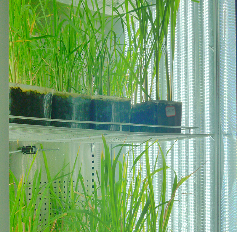 寧波江南儀器廠(chǎng)_人工氣候培養(yǎng)箱,光照培養(yǎng)箱,植物生長(zhǎng)培養(yǎng)類(lèi)箱體